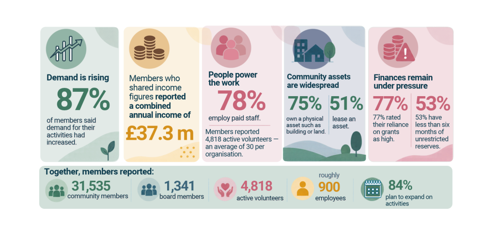 DTAS Members Survey 2026 3